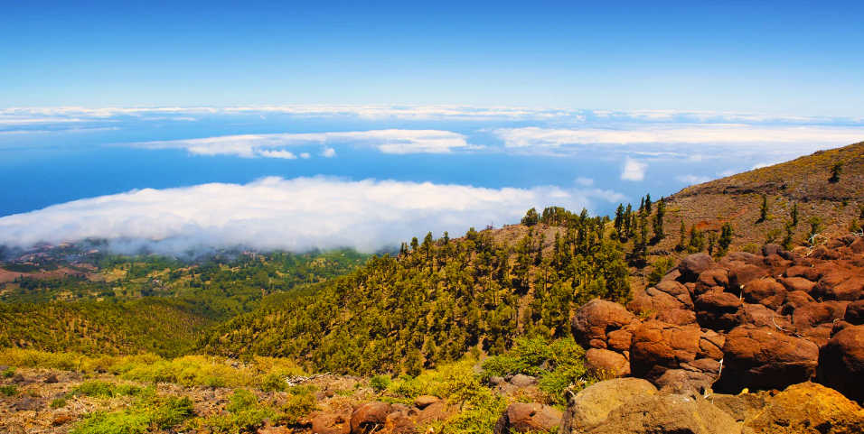 La Palma