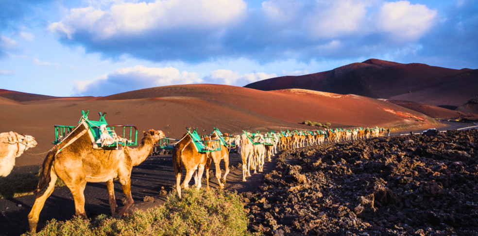 Lanzarote